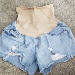 Maternity Shorts